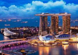 森林舞会电玩城2024最新版